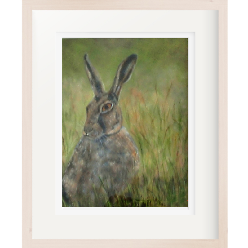 CIMG0462 RT frame CROP